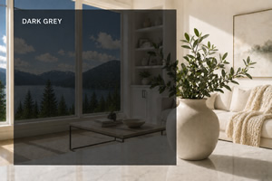 Dark Gray / Clear