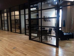 frameless glass doors