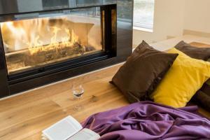 Glass Fireplace Doors