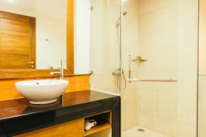frameless glass shower doors