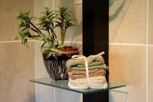 tempered glass shelf