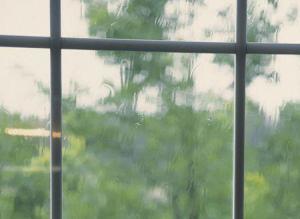Sealed Insulating Glass Units