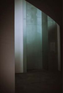 Custom Frameless Glass Shower Doors