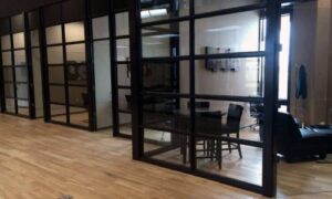 frameless glass doors
