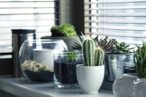 best Energy Efficient Window Treatments