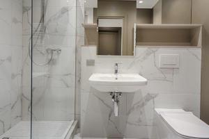Frameless Glass Shower Doors
