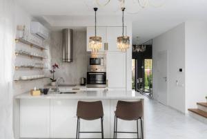 Glass Kitchen Cabinet Doors