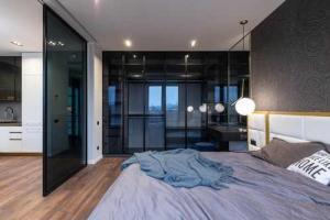 Modern Glass Barn Doors