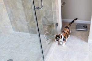 how to install glass shower door