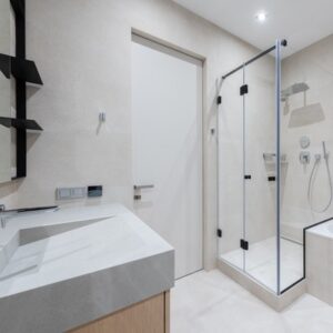 shower door hinges
